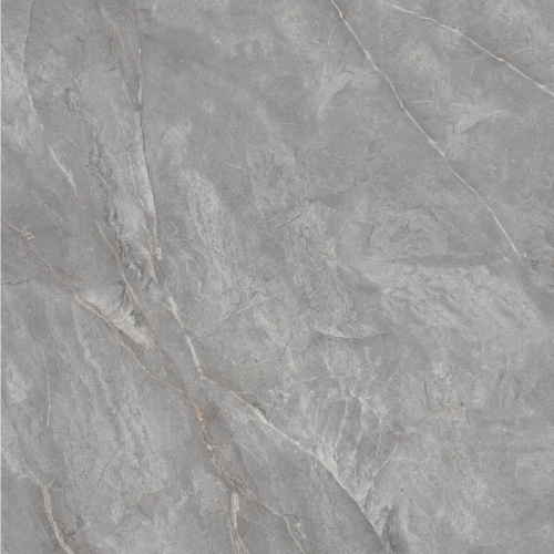 Orobico Grey Polished 120x120