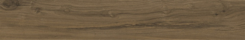 Alleya Dark Brown Str 20x120 фото 3