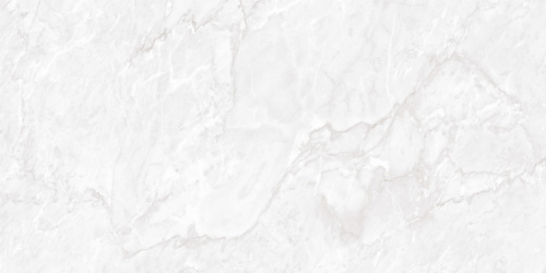 Carrara Pearl Polished 60x120